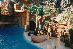 19980038