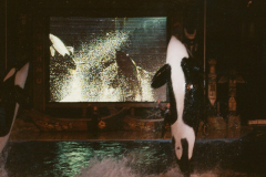 19980040