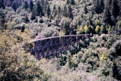 19990057