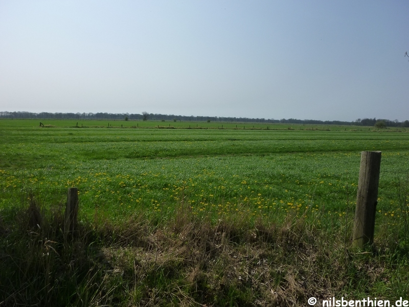 00080