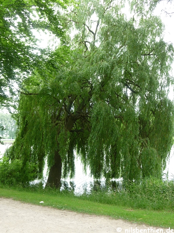 120059