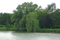 120062