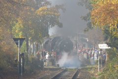 120081