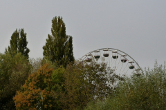 120083