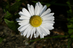 140057