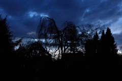 150029