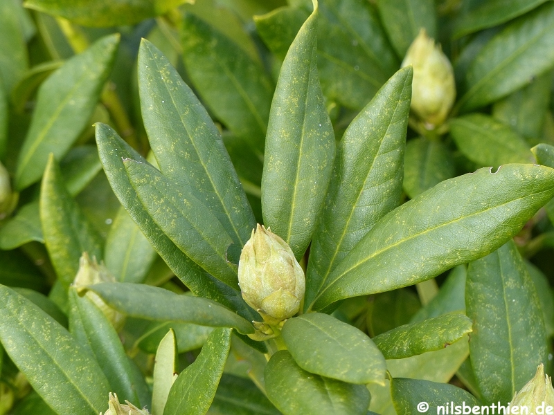 170039