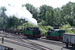 1900077